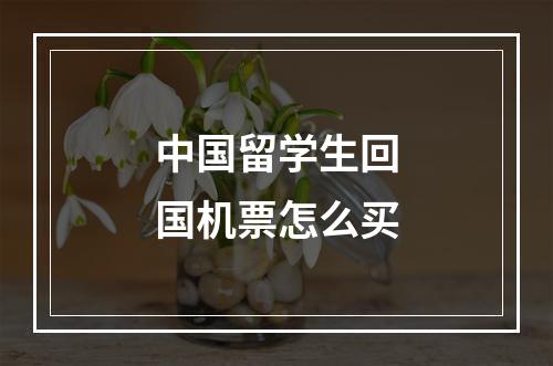 中国留学生回国机票怎么买