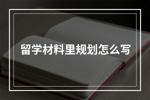 留学材料里规划怎么写