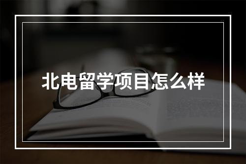 北电留学项目怎么样