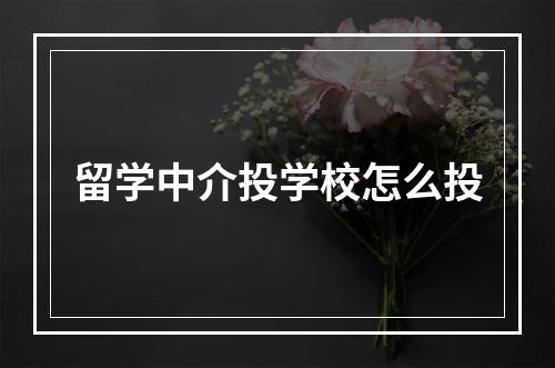 留学中介投学校怎么投