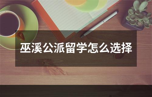 巫溪公派留学怎么选择