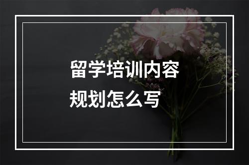 留学培训内容规划怎么写