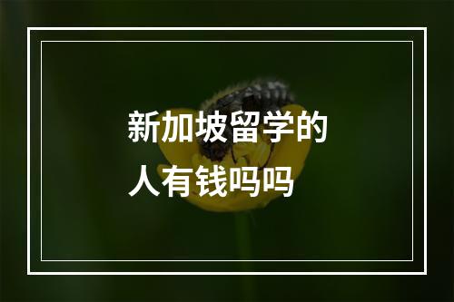 新加坡留学的人有钱吗吗