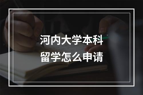 河内大学本科留学怎么申请