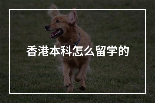 香港本科怎么留学的