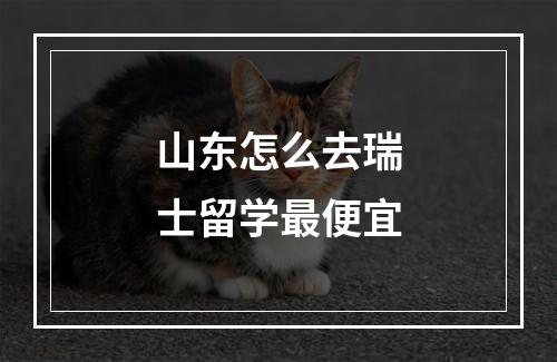 山东怎么去瑞士留学最便宜