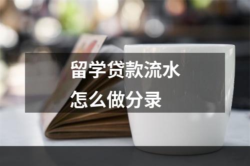 留学贷款流水怎么做分录