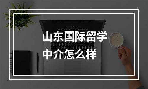 山东国际留学中介怎么样