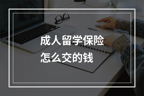 成人留学保险怎么交的钱