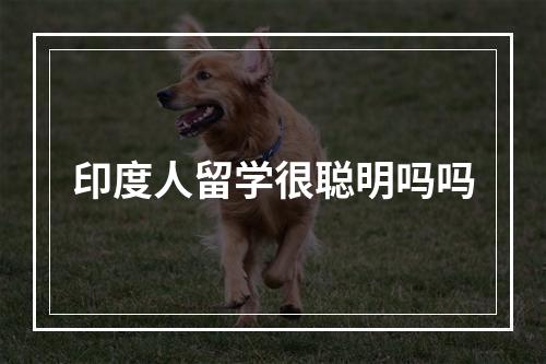 印度人留学很聪明吗吗