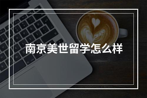 南京美世留学怎么样