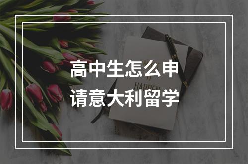 高中生怎么申请意大利留学