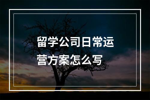 留学公司日常运营方案怎么写