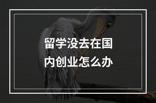 留学没去在国内创业怎么办