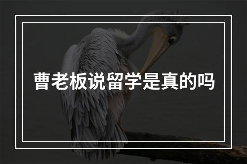 曹老板说留学是真的吗