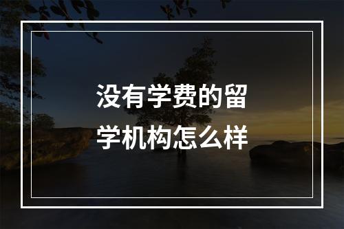 没有学费的留学机构怎么样