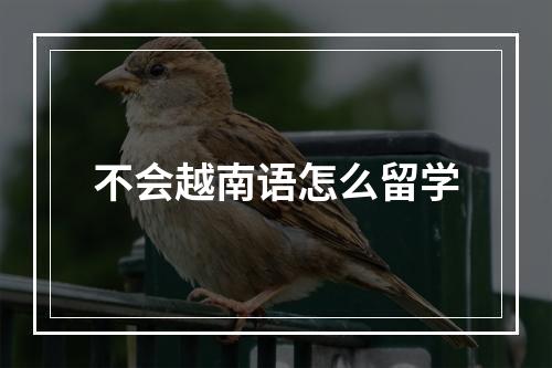 不会越南语怎么留学