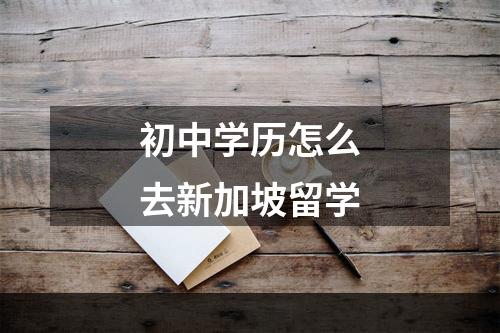 初中学历怎么去新加坡留学