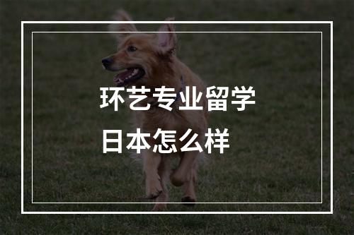 环艺专业留学日本怎么样