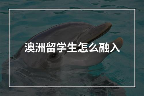 澳洲留学生怎么融入