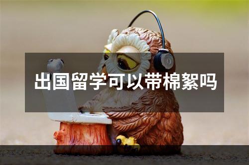 出国留学可以带棉絮吗