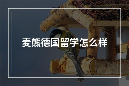 麦熊德国留学怎么样