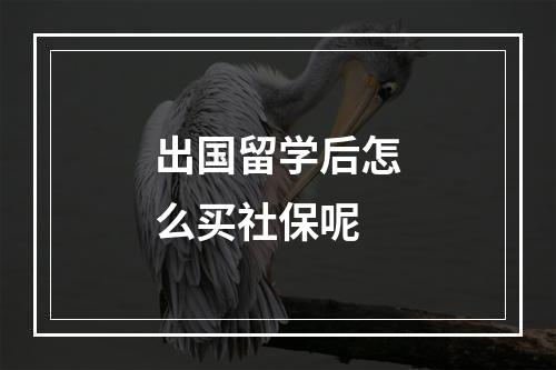 出国留学后怎么买社保呢