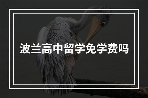 波兰高中留学免学费吗