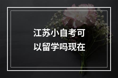 江苏小自考可以留学吗现在