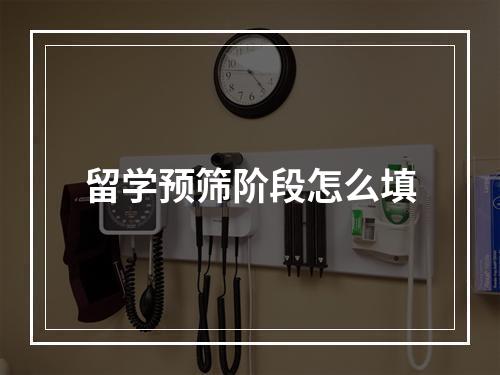 留学预筛阶段怎么填