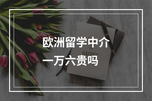 欧洲留学中介一万六贵吗