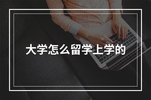 大学怎么留学上学的