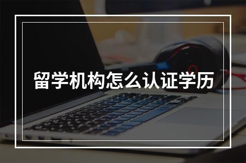 留学机构怎么认证学历