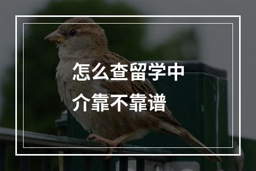 怎么查留学中介靠不靠谱