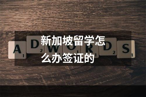 新加坡留学怎么办签证的