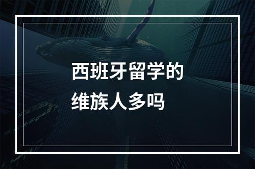 西班牙留学的维族人多吗