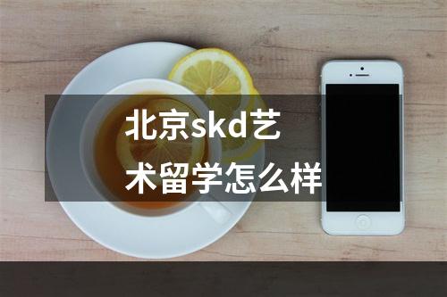 北京skd艺术留学怎么样