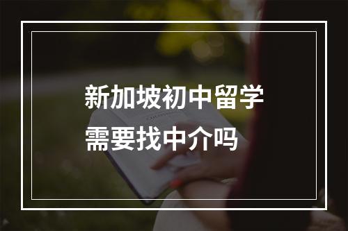 新加坡初中留学需要找中介吗