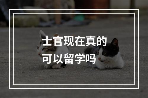 士官现在真的可以留学吗