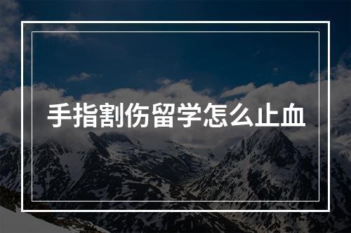 手指割伤留学怎么止血