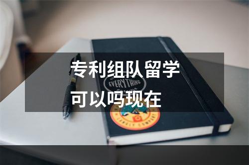 专利组队留学可以吗现在