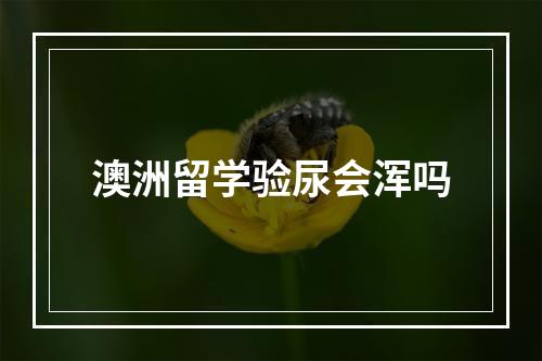 澳洲留学验尿会浑吗