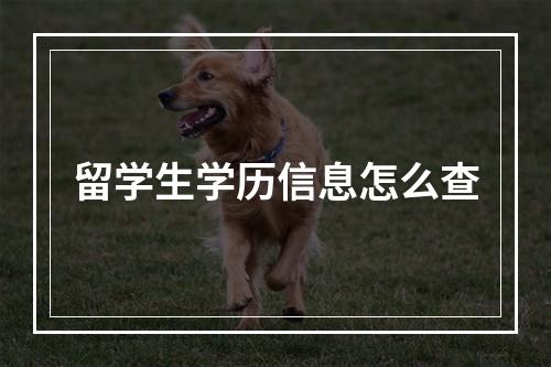 留学生学历信息怎么查