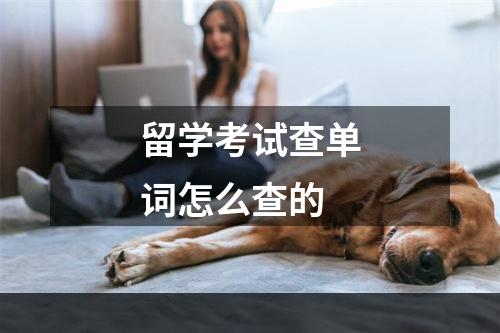 留学考试查单词怎么查的