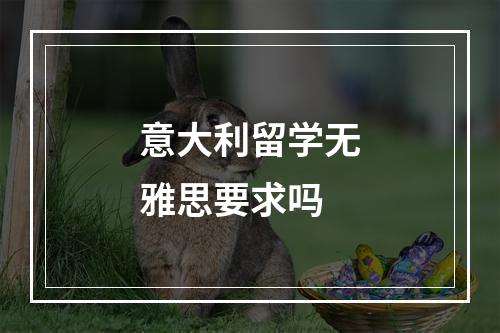 意大利留学无雅思要求吗