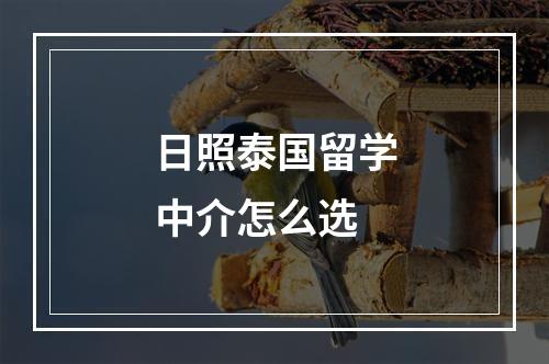 日照泰国留学中介怎么选