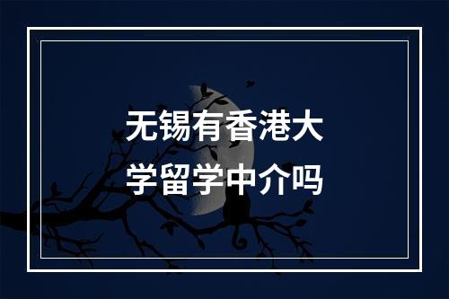 无锡有香港大学留学中介吗