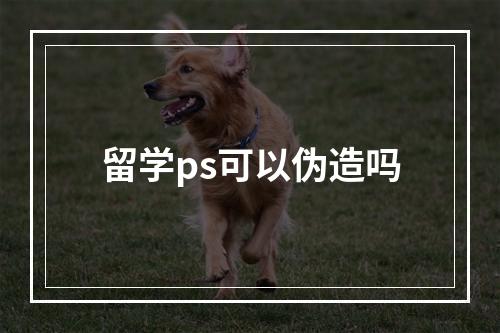 留学ps可以伪造吗