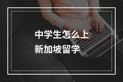 中学生怎么上新加坡留学