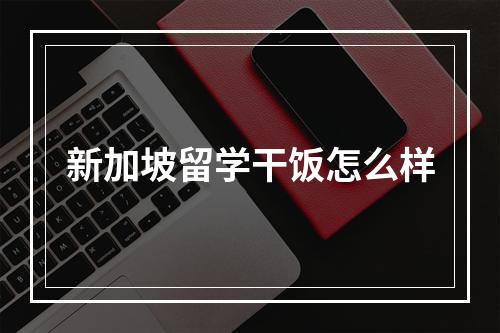 新加坡留学干饭怎么样